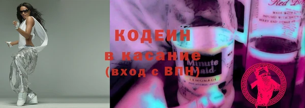 шишки Алексин