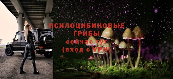 эйфоретик Алзамай