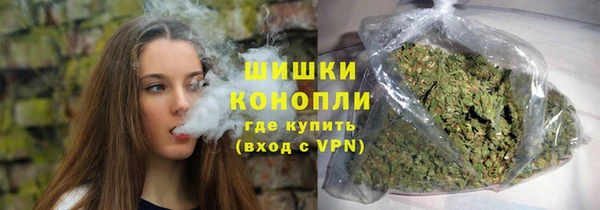 шишки Алексин